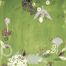 Emmi Whitehorse: Floraux VIII
