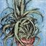 Jim Dine: New Mexican Aloe