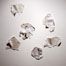 Transparency no. 2