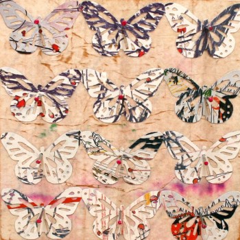 Collection 12