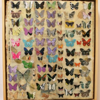 Collection 87
