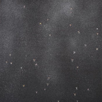 Night Migration