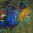 The Stellar Jay