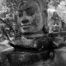 Buddha Head & Tree, Angkor Wat, ed. 1/25