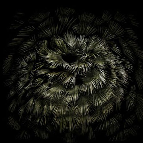 Palma Spiral, ed. 6/9