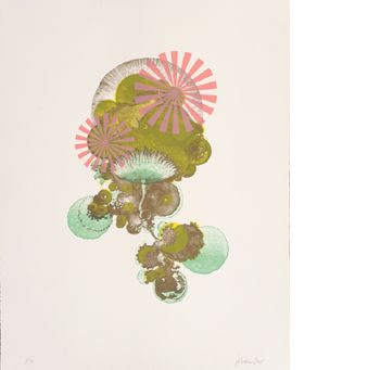 Julie Evans: Radialspores, ed. 10/10