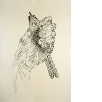 Kiki Smith: Bird in Hand Portfolio, A, ed. 18