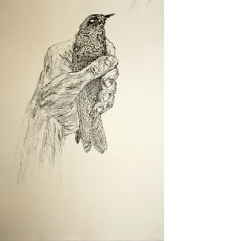Kiki Smith: Bird in Hand Portfolio, C, ed. 18