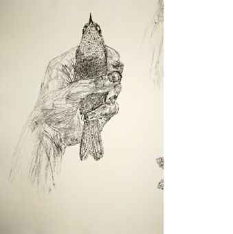 Kiki Smith: Bird in Hand Portfolio, D, ed. 18