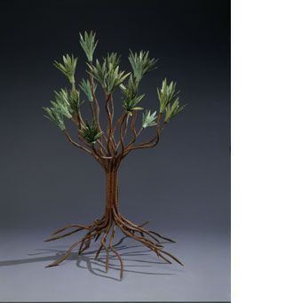 First Tree