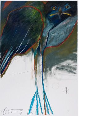 Big Hawk Stare (Introspection)