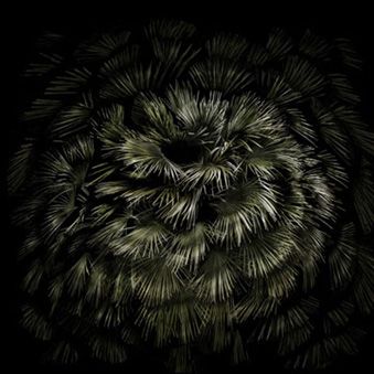 Palma Spiral, ed. 6/9
