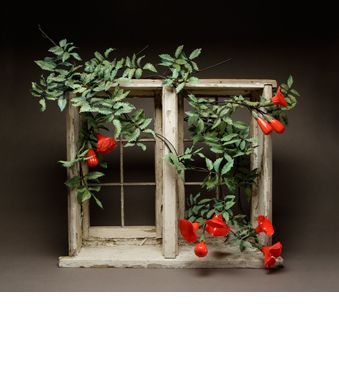 Marina's Window