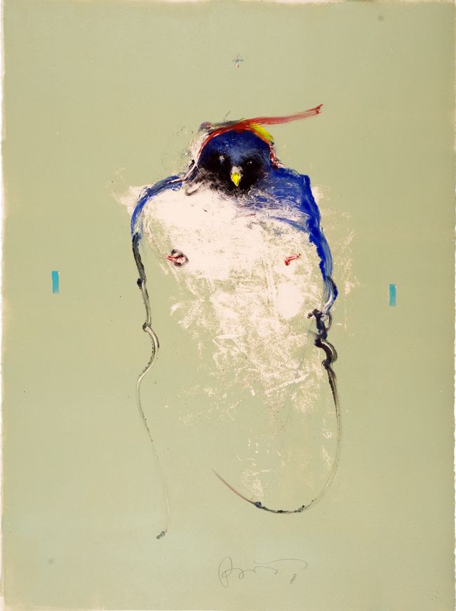 Hawk and Red Gesture