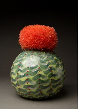 Melocactus