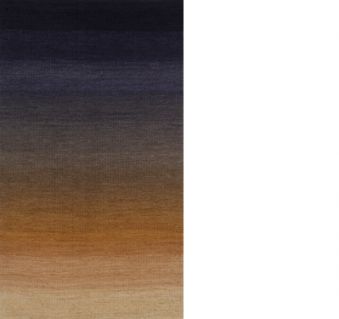 Warp Aspect #11