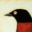 Huginn