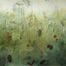 Sea Holly