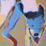 Dog Running