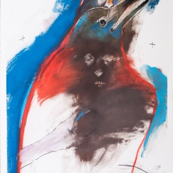 Dreams Passages With Crow