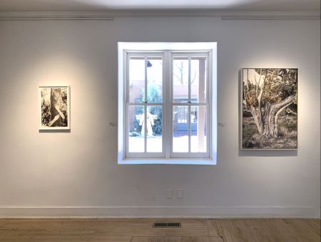 Installation View A